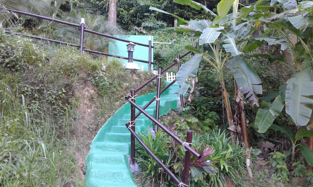 Feng Shui House Hotel Patong Eksteriør billede